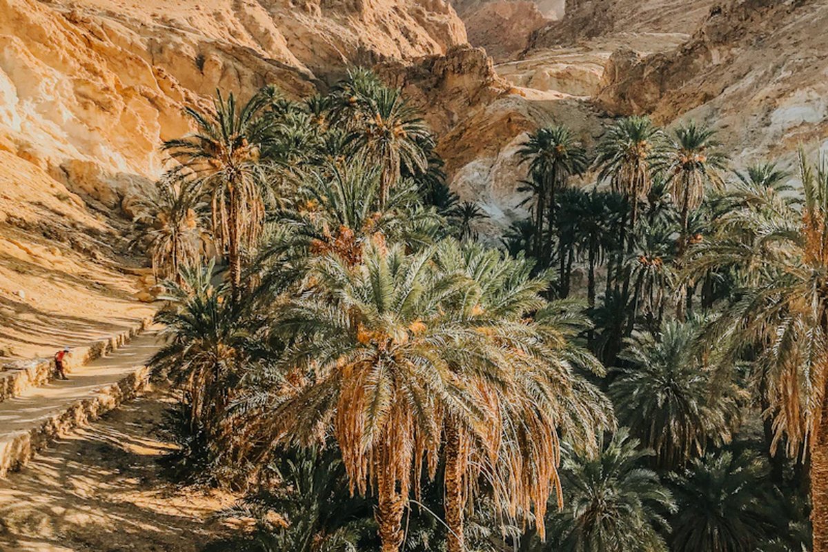 Tunisia